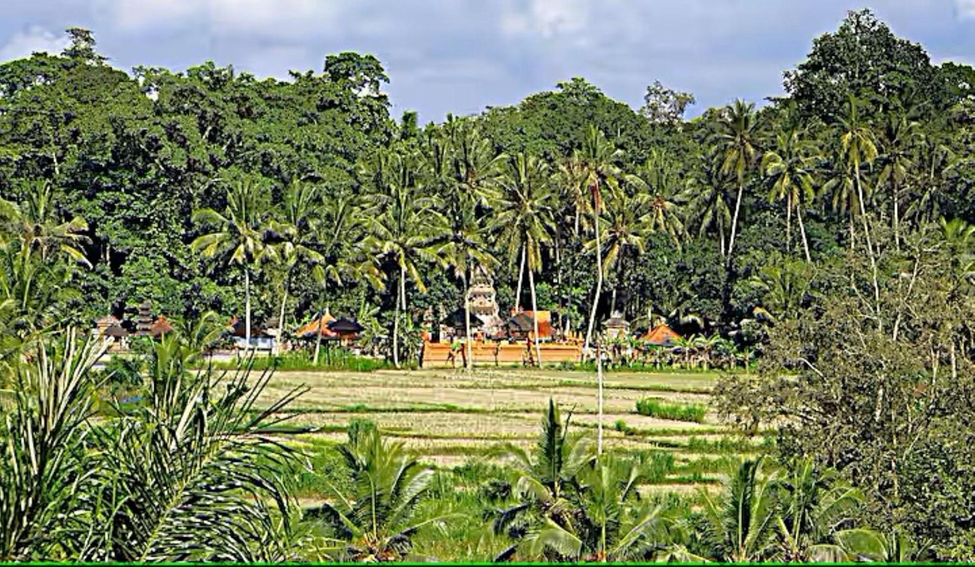 Villa Ria Sayan อูบุด ภายนอก รูปภาพ